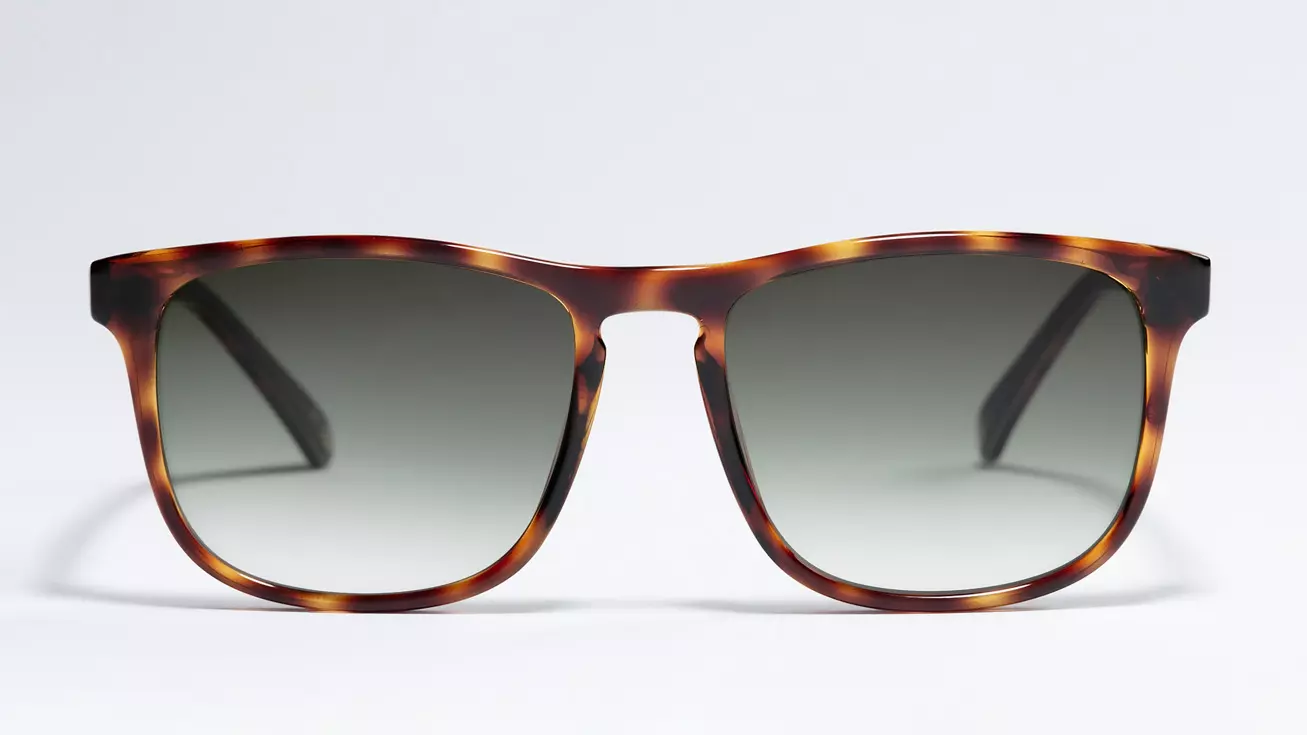 Солнцезащитные очки TED BAKER EINAR 1571 122 1